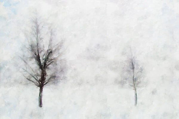 Misty Series #11