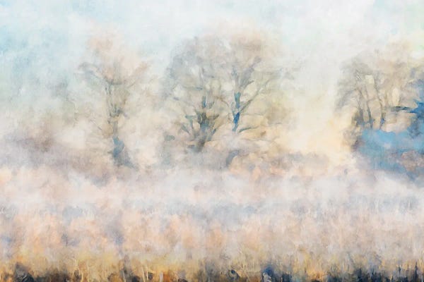Kim Curinga: Misty Series #16 by Kim Curinga
