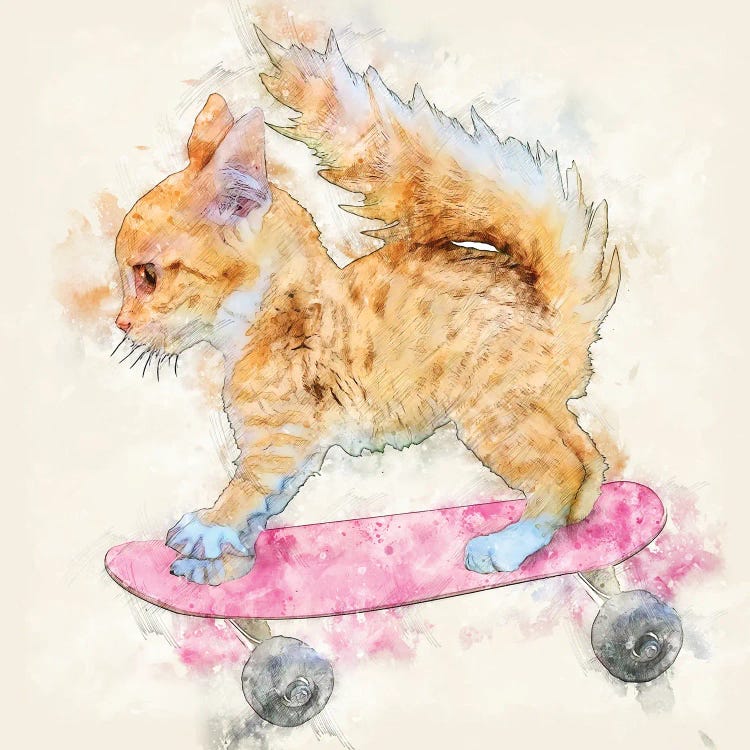 A Skateboard Kitten by Kim Curinga wall art