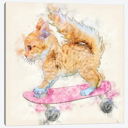 A Skateboard Kitten Canvas Print #KCU32} by Kim Curinga Canvas Artwork