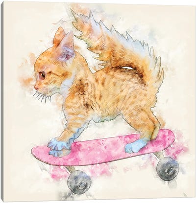 A Skateboard Kitten Canvas Art Print - Skateboarding Art