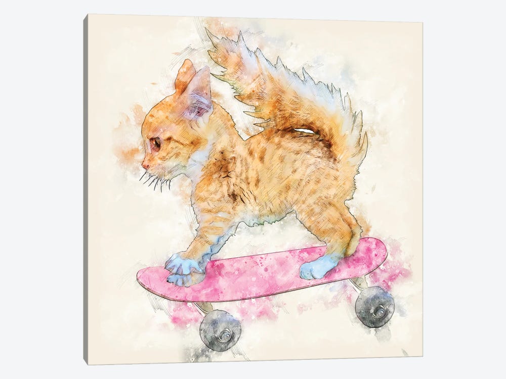 A Skateboard Kitten by Kim Curinga 1-piece Canvas Art