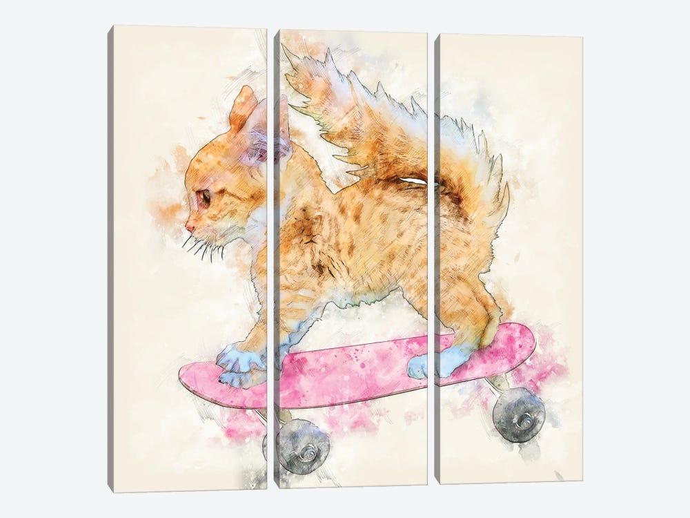 A Skateboard Kitten by Kim Curinga 3-piece Canvas Artwork