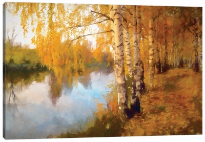Autumn Birch Canvas Art Print - Birch Tree Art