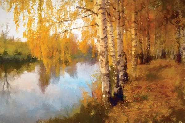 Kim Curinga: Autumn Birch by Kim Curinga
