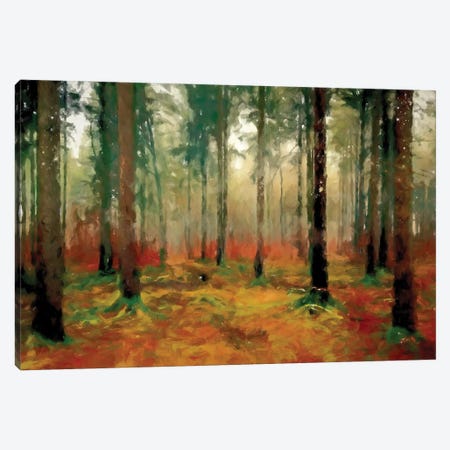 Autumn Woods Canvas Print #KCU37} by Kim Curinga Art Print