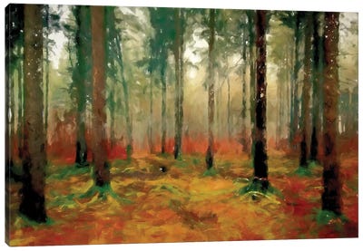Autumn Woods Canvas Art Print - Kim Curinga