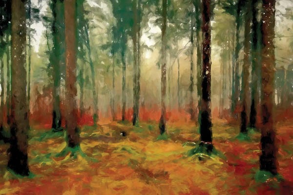 Kim Curinga: Autumn Woods by Kim Curinga