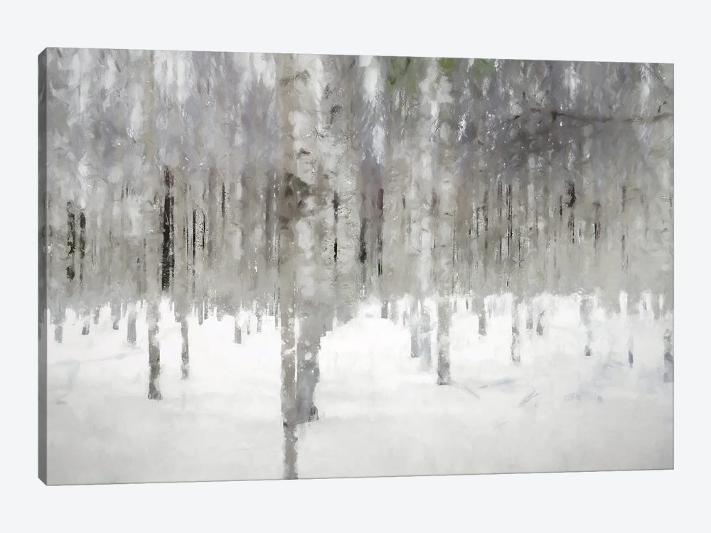 Birches In Fog by Kim Curinga 1-piece Art Print