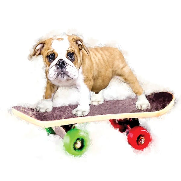 Kim Curinga: Bull On A Board by Kim Curinga