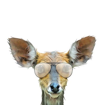 Daring Deer by Kim Curinga art print