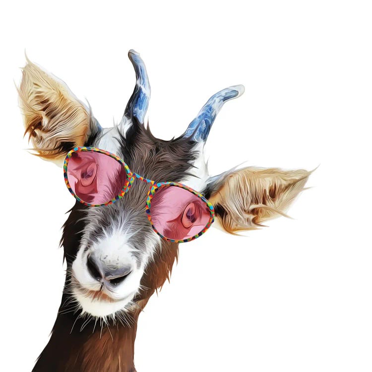 Goofy Goat by Kim Curinga wall art