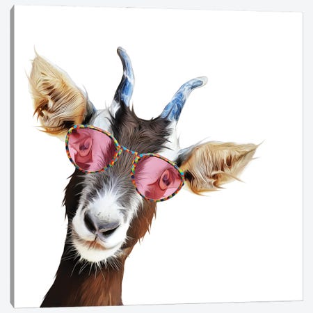Goofy Goat Canvas Print #KCU53} by Kim Curinga Canvas Art