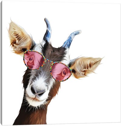 Goofy Goat Canvas Art Print - Goat Art