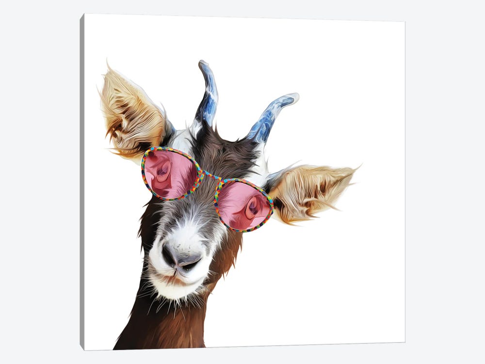 Goofy Goat by Kim Curinga 1-piece Art Print