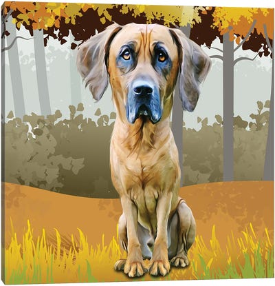 Hound In The Woods Canvas Art Print
