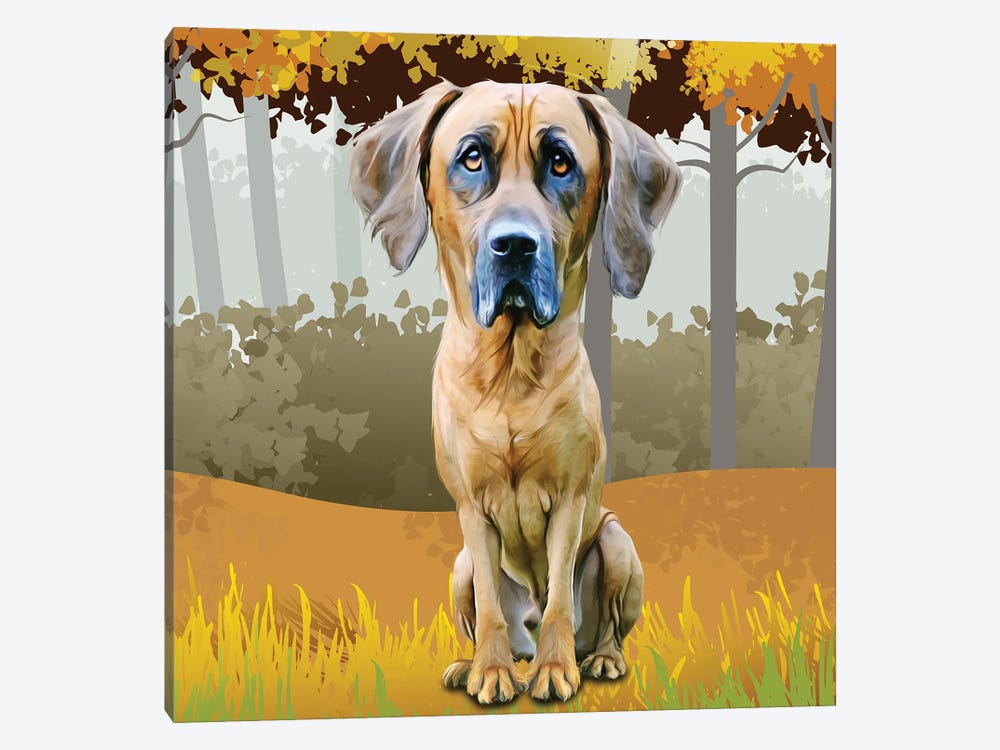 Hound In The Woods by Kim Curinga 1-piece Canvas Artwork