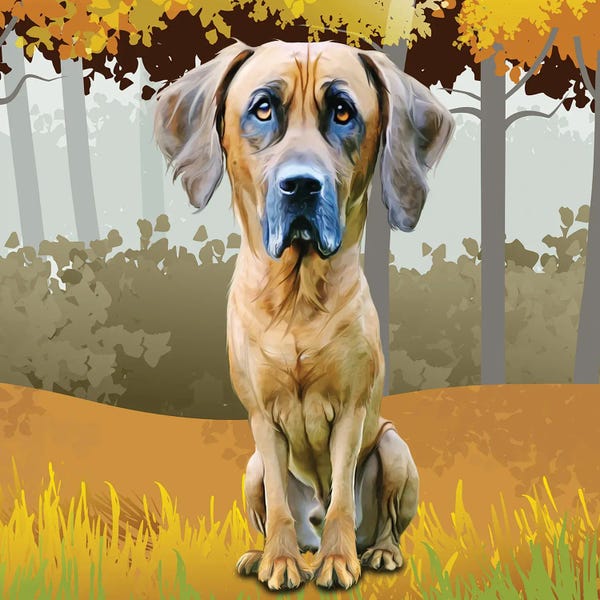 Kim Curinga: Hound In The Woods by Kim Curinga