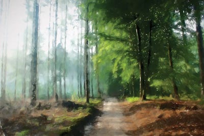 Into The Woods by Kim Curinga metal wall art