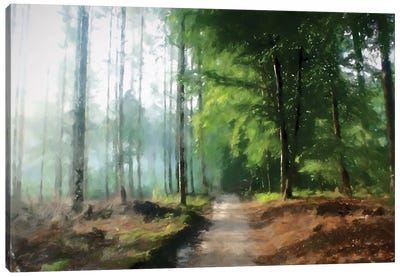 Into The Woods Canvas Art Print - Kim Curinga