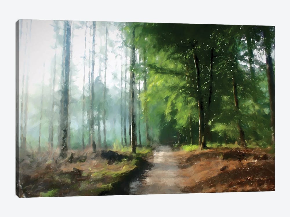 Into The Woods by Kim Curinga 1-piece Canvas Wall Art