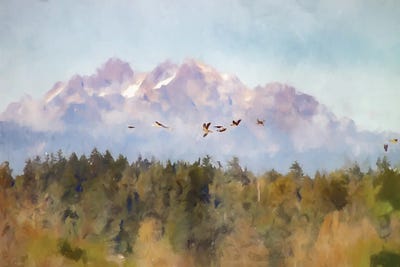 Migration by Kim Curinga art print