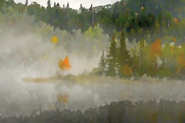 Kim Curinga: Misty Isle by Kim Curinga