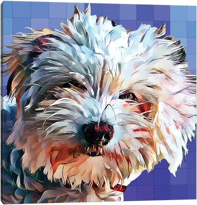 Pop Dog V Canvas Art Print - Kim Curinga