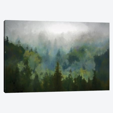 Misty Woods Canvas Print #KCU70} by Kim Curinga Canvas Wall Art