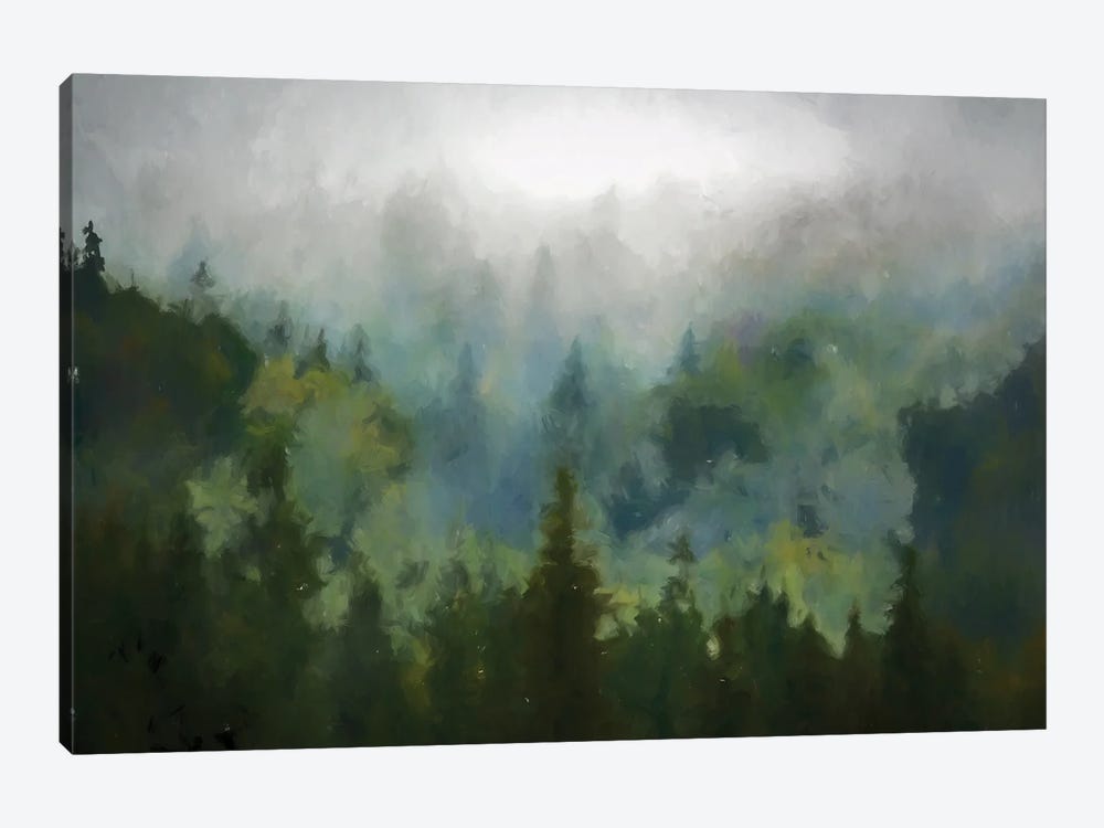Misty Woods by Kim Curinga 1-piece Canvas Art