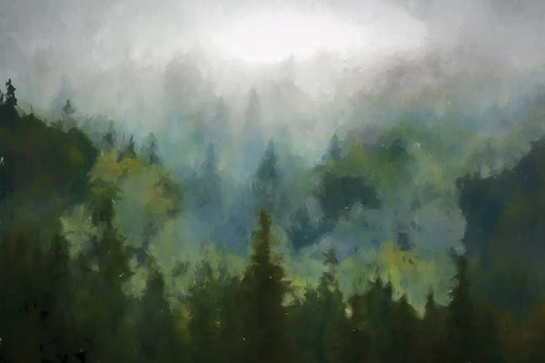 Kim Curinga: Misty Woods by Kim Curinga