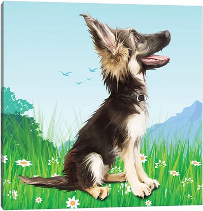 Skyward Shepherd Canvas Art Print - German Shepherd Art