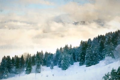 Snowy Pines by Kim Curinga art print