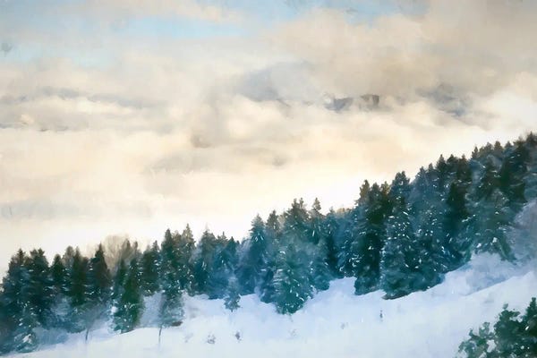 Kim Curinga: Snowy Pines by Kim Curinga