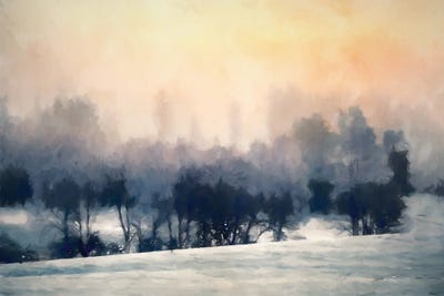 Sunset Grove by Kim Curinga metal wall art