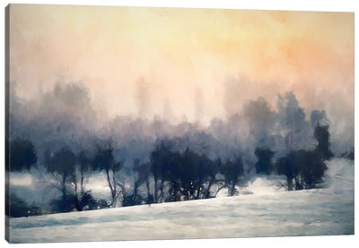 Sunset Grove Canvas Art Print - Kim Curinga