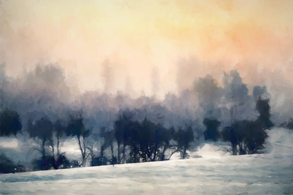 Kim Curinga: Sunset Grove by Kim Curinga