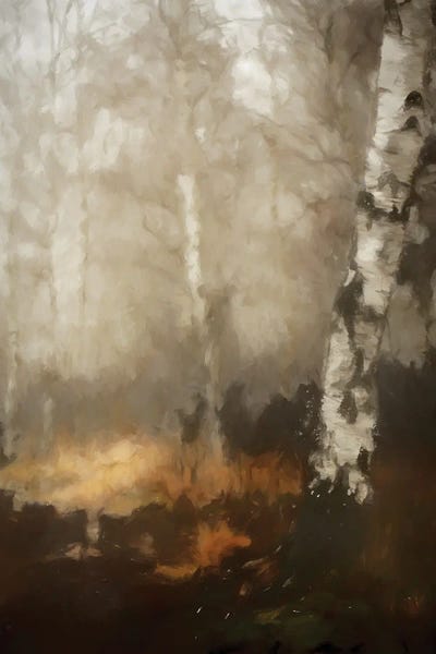 The Birch by Kim Curinga metal wall art