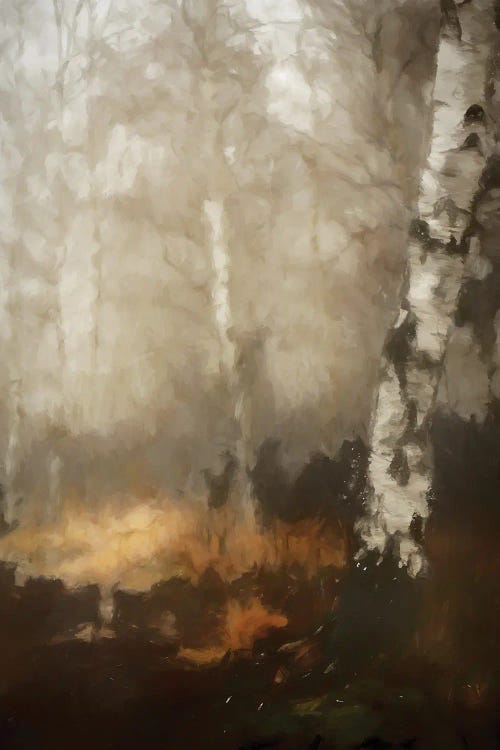The Birch by Kim Curinga wall art