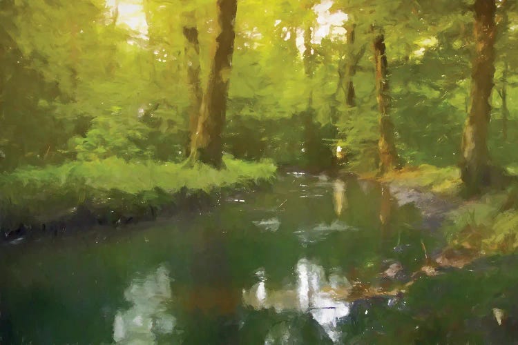 The Creek by Kim Curinga wall art