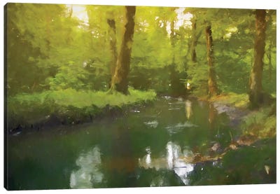 The Creek Canvas Art Print - Kim Curinga