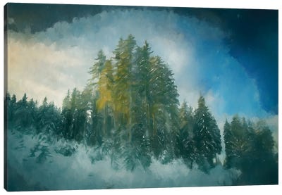 The Pines Canvas Art Print - Kim Curinga