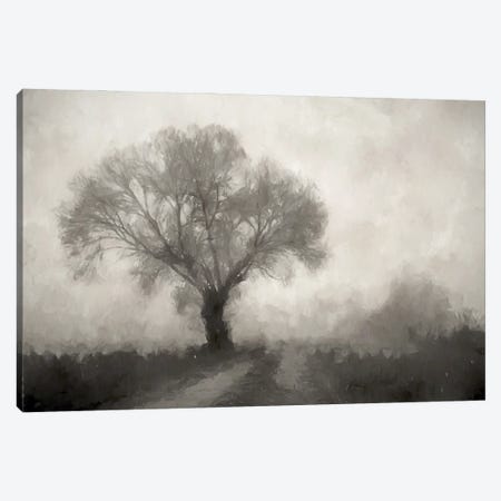 Tree Obscured Canvas Print #KCU88} by Kim Curinga Art Print