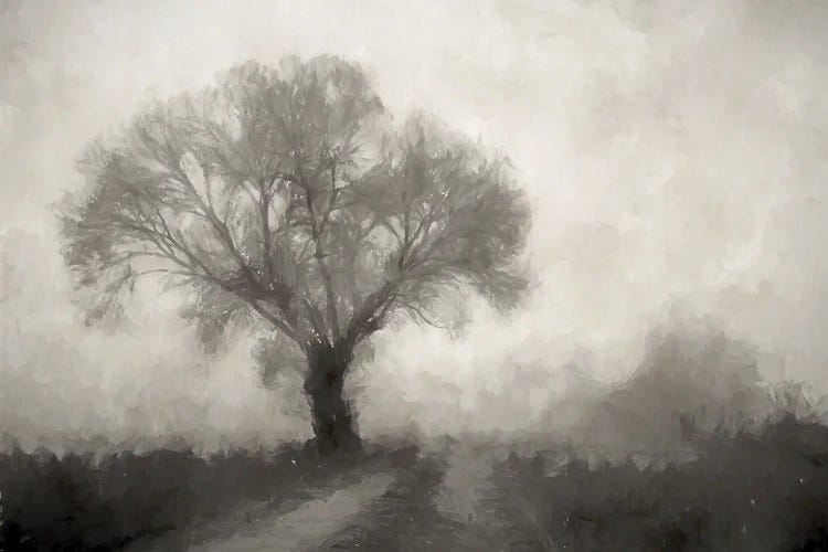 Tree Obscured by Kim Curinga wall art