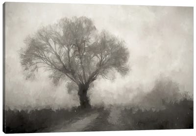 Tree Obscured Canvas Art Print - Kim Curinga