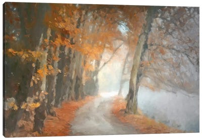 Autumn Walk Canvas Art Print - Kim Curinga
