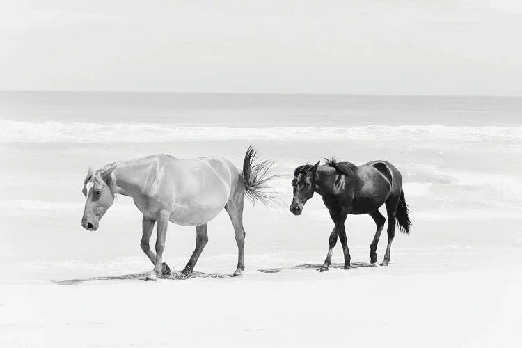 Beach Horse Duo