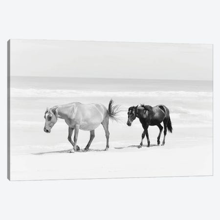 Beach Horse Duo Canvas Print #KCU97} by Kim Curinga Canvas Art Print