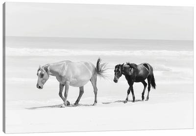 Beach Horse Duo Canvas Art Print - Kim Curinga