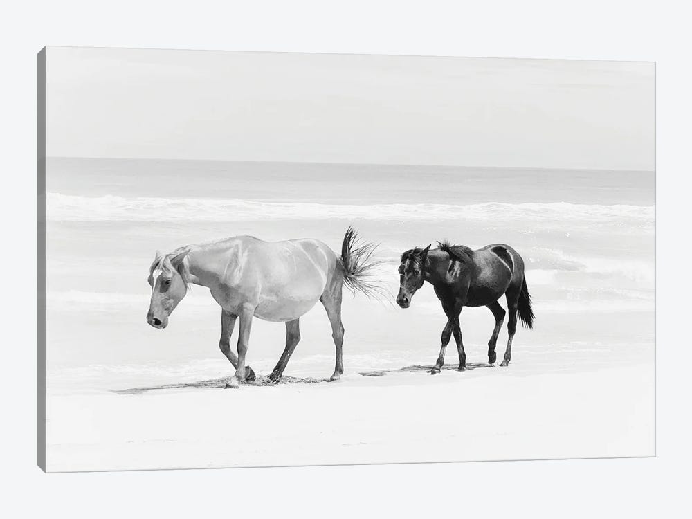 Beach Horse Duo by Kim Curinga 1-piece Art Print